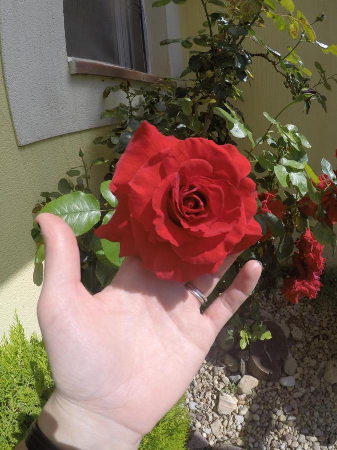 Privada En Reus Accommodatie bij particulieren Tarragona